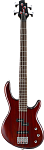 Cort Action WS